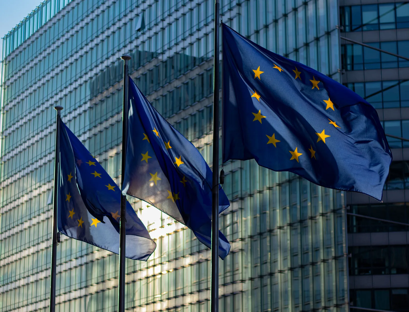 Vlaggen van de Europese Unie voor een kantoorgebouw als beeld bij digitale autonomie.